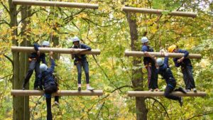 A group of people wearing helmets and harnesses engage in a team-building high ropes course activity among trees.