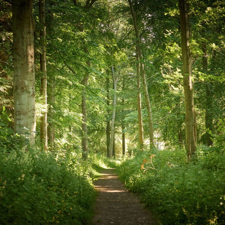 Hike