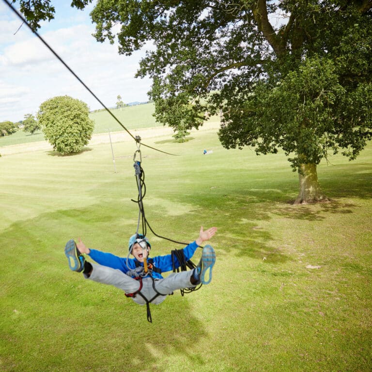 Zip Wire