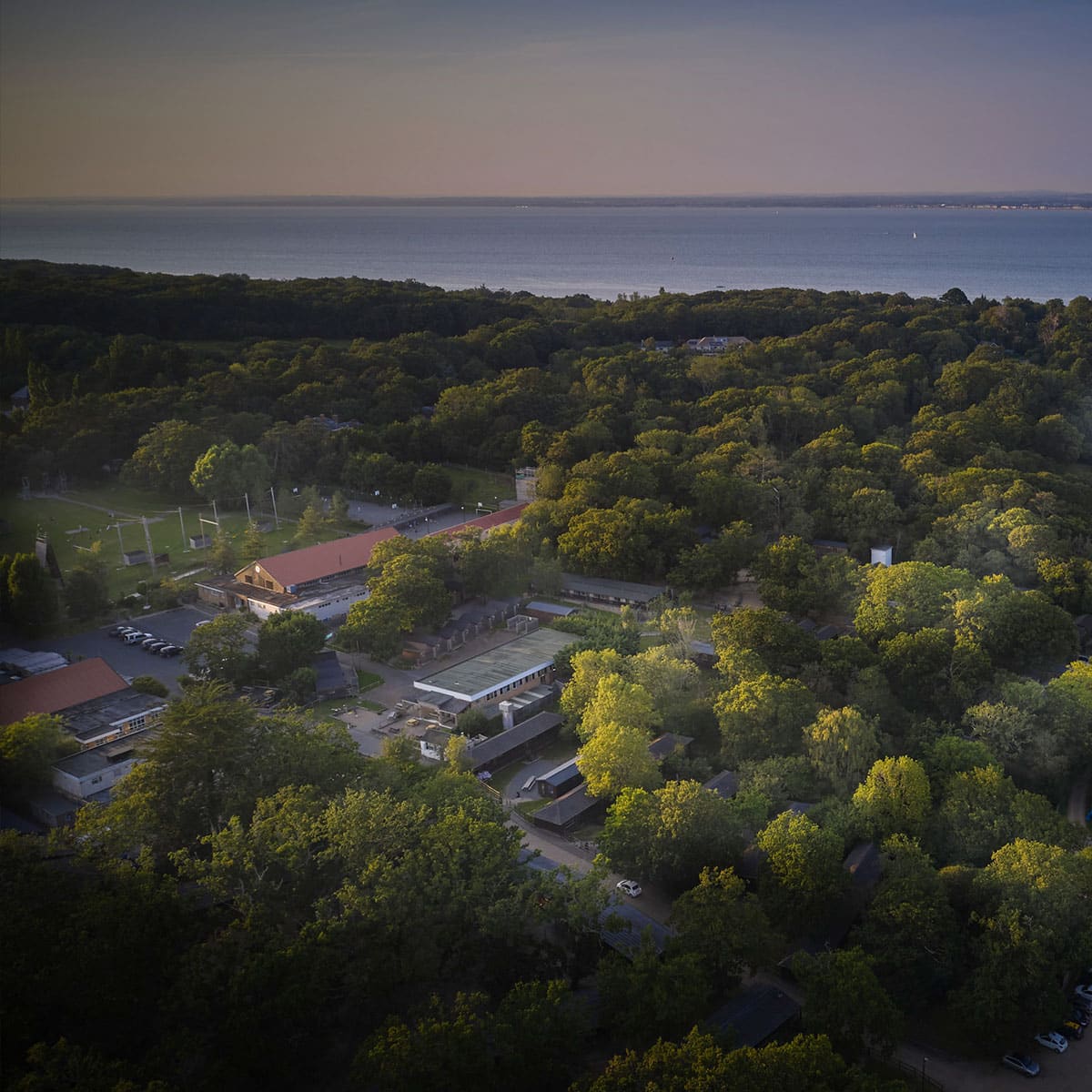 Aerial view of a wooded area with scattered buildings and a body of water in the background under a clear sky.