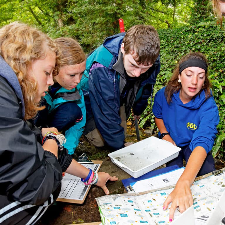 Biology A-Level