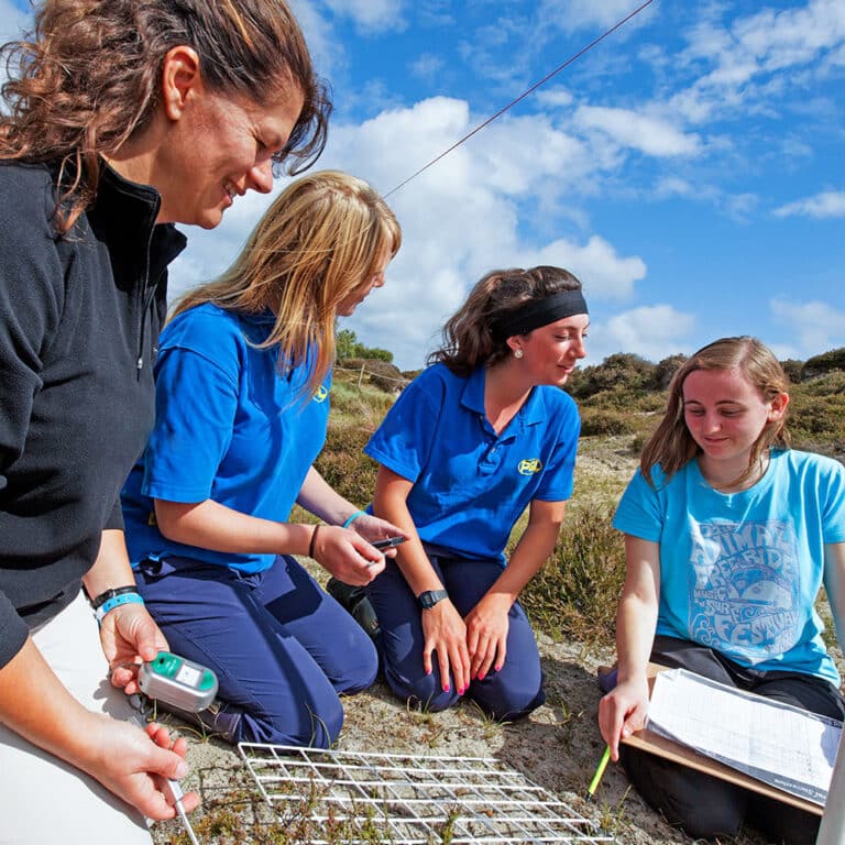 Field Studies KS3