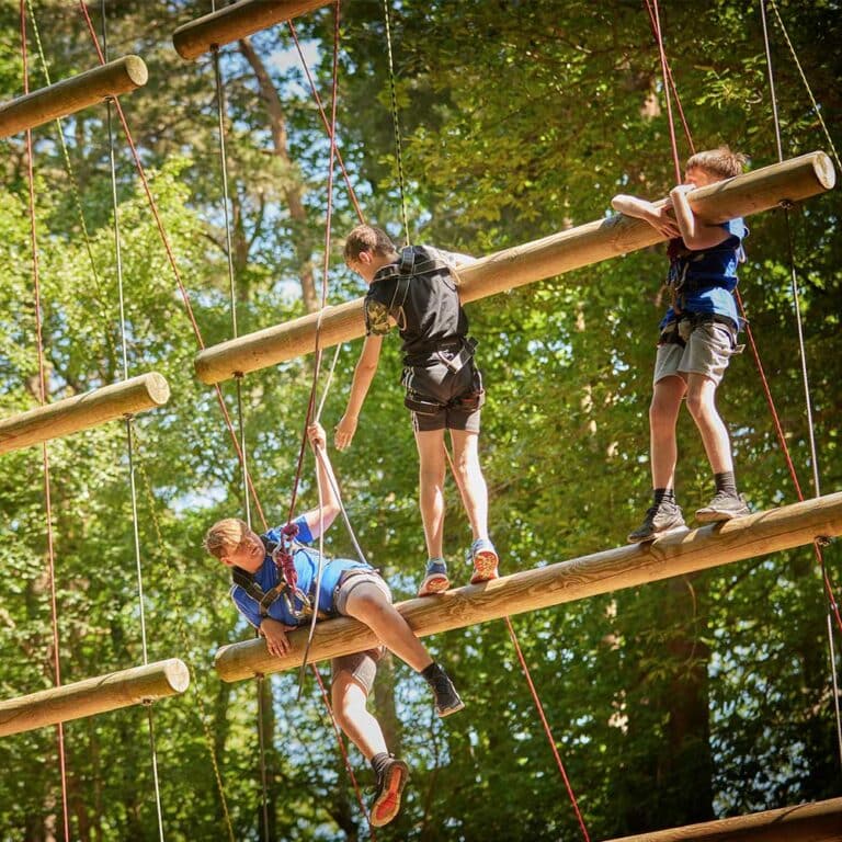Secondary school students helping each other to climb up high ropes and offering a hand to their friends