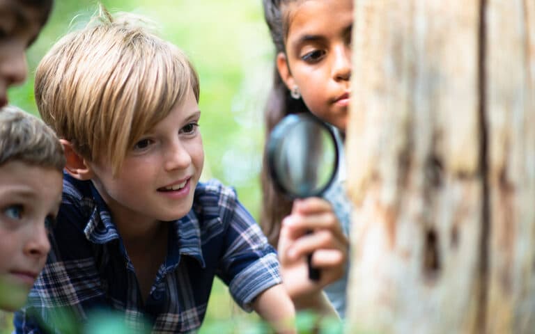 Kid with a magnifying glass looking at a tree