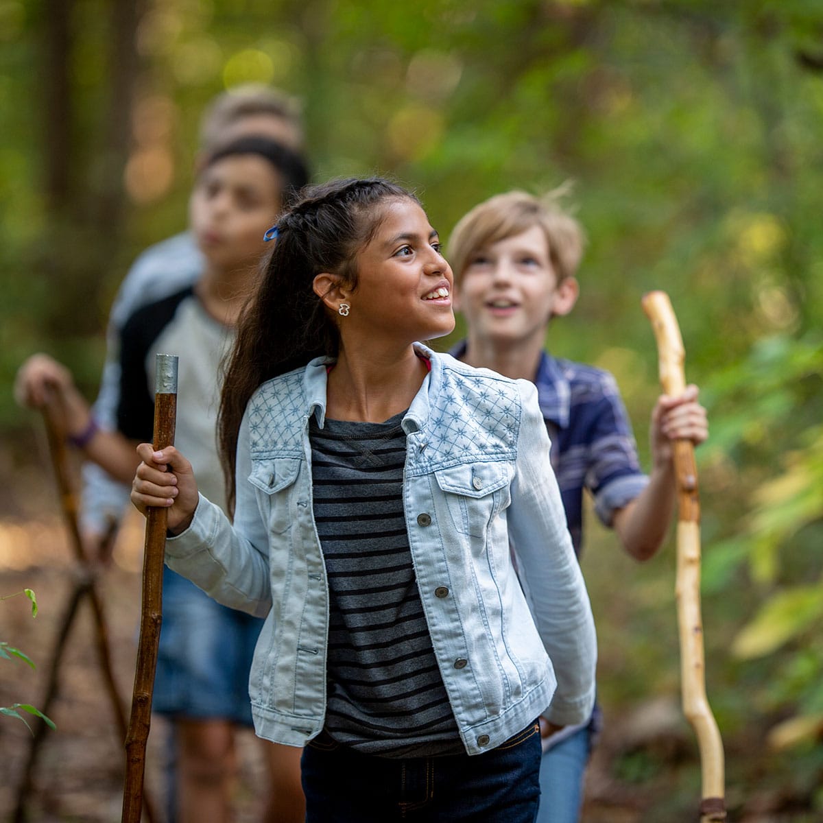 Group walking in the woods