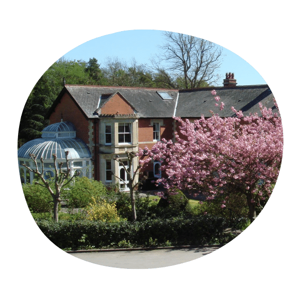 A large red-brick house with a glass conservatory and a blooming pink cherry blossom tree in the garden.
