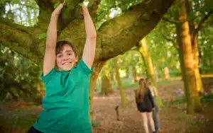 A smiling child in a green shirt hangs from a tree branch in a sunlit forest, enjoying a multi-activity day as three people stand together in the background.