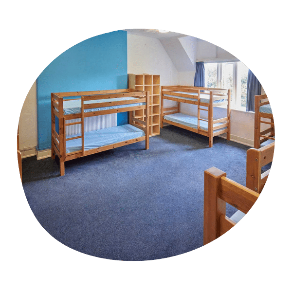 A room with blue carpet, wooden bunk beds, a shelving unit, and a window with blue curtains letting in natural light.