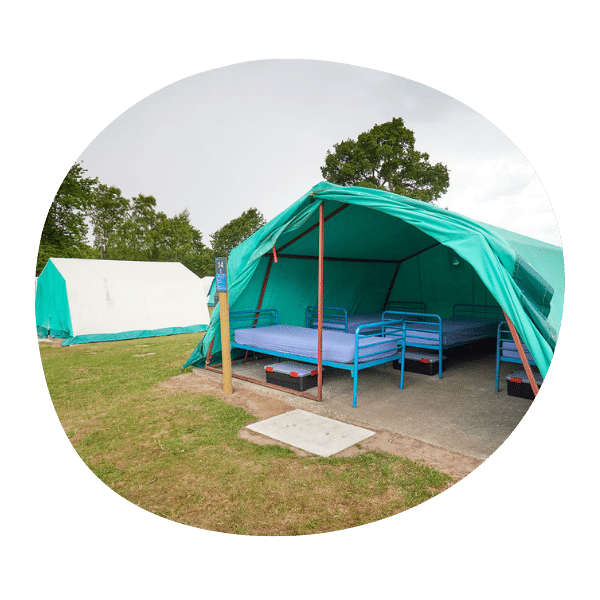 Two large green tents are set up on grass, each containing blue metal-frame beds arranged in rows, with trees visible in the background.