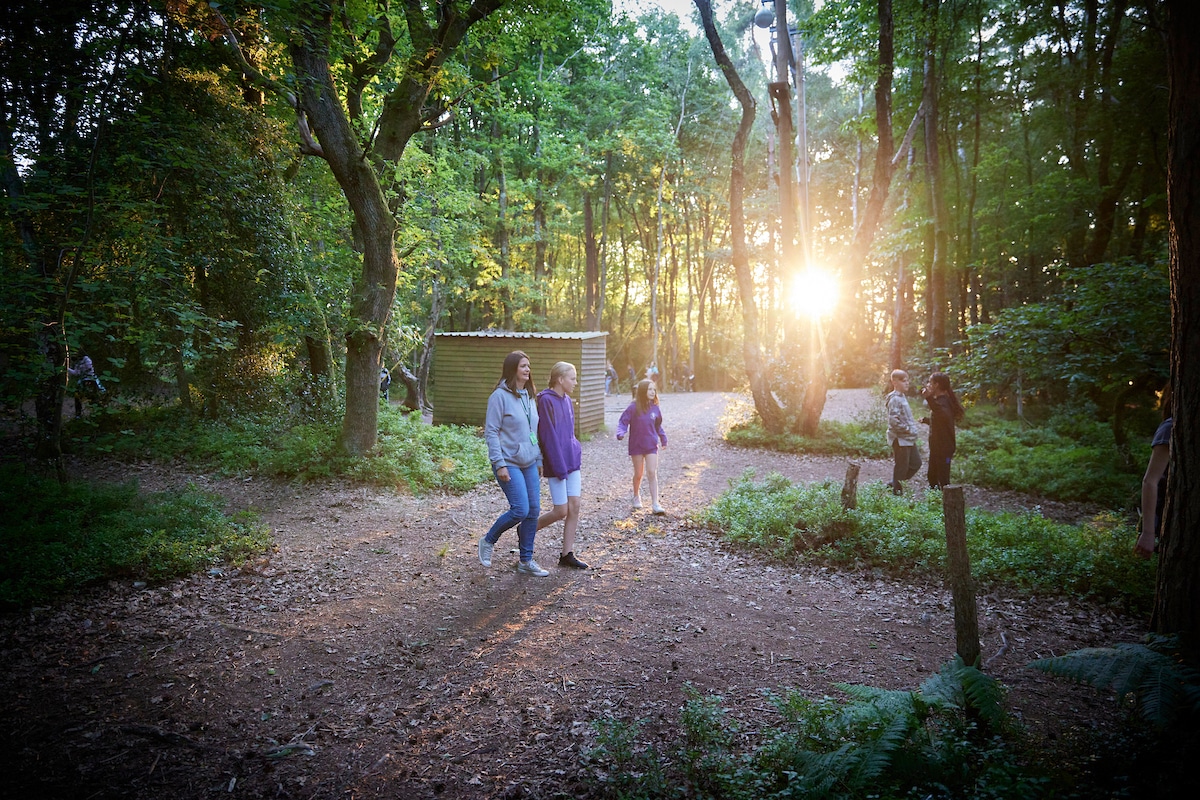 People walk and stand on a dirt path in a sunlit forest clearing with a small wooden shelter in the background.