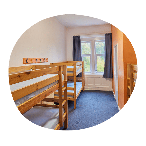 A bright room with two wooden bunk beds, an orange accent wall, coat hooks, blue carpet, and a window with blue curtains.