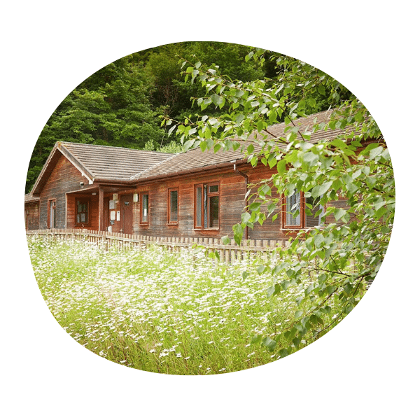 A wooden house with multiple windows stands behind a fence, surrounded by wildflowers and trees.