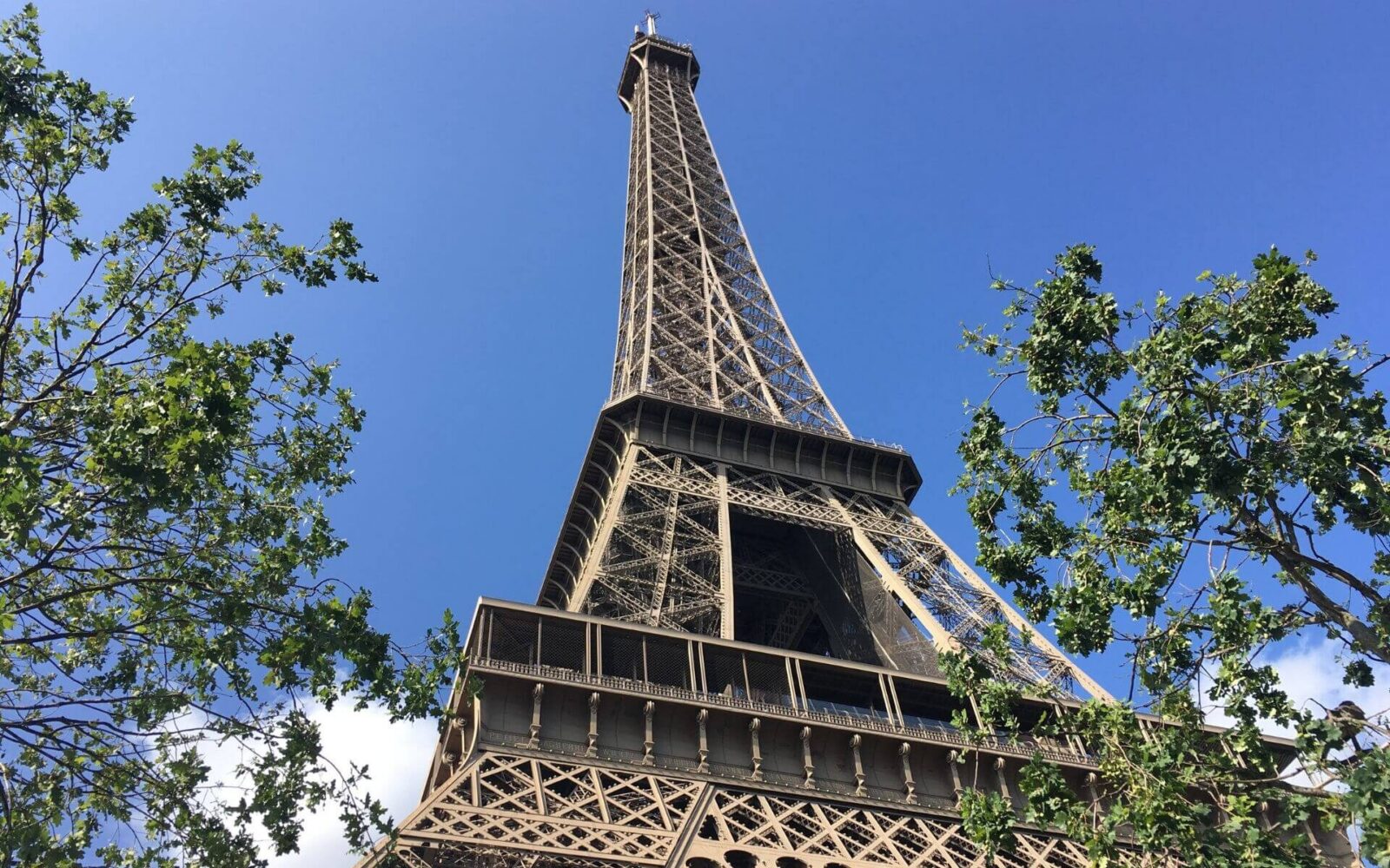 Looking up at the Eiffel Tower from ground level framed by green trees against a blue sky