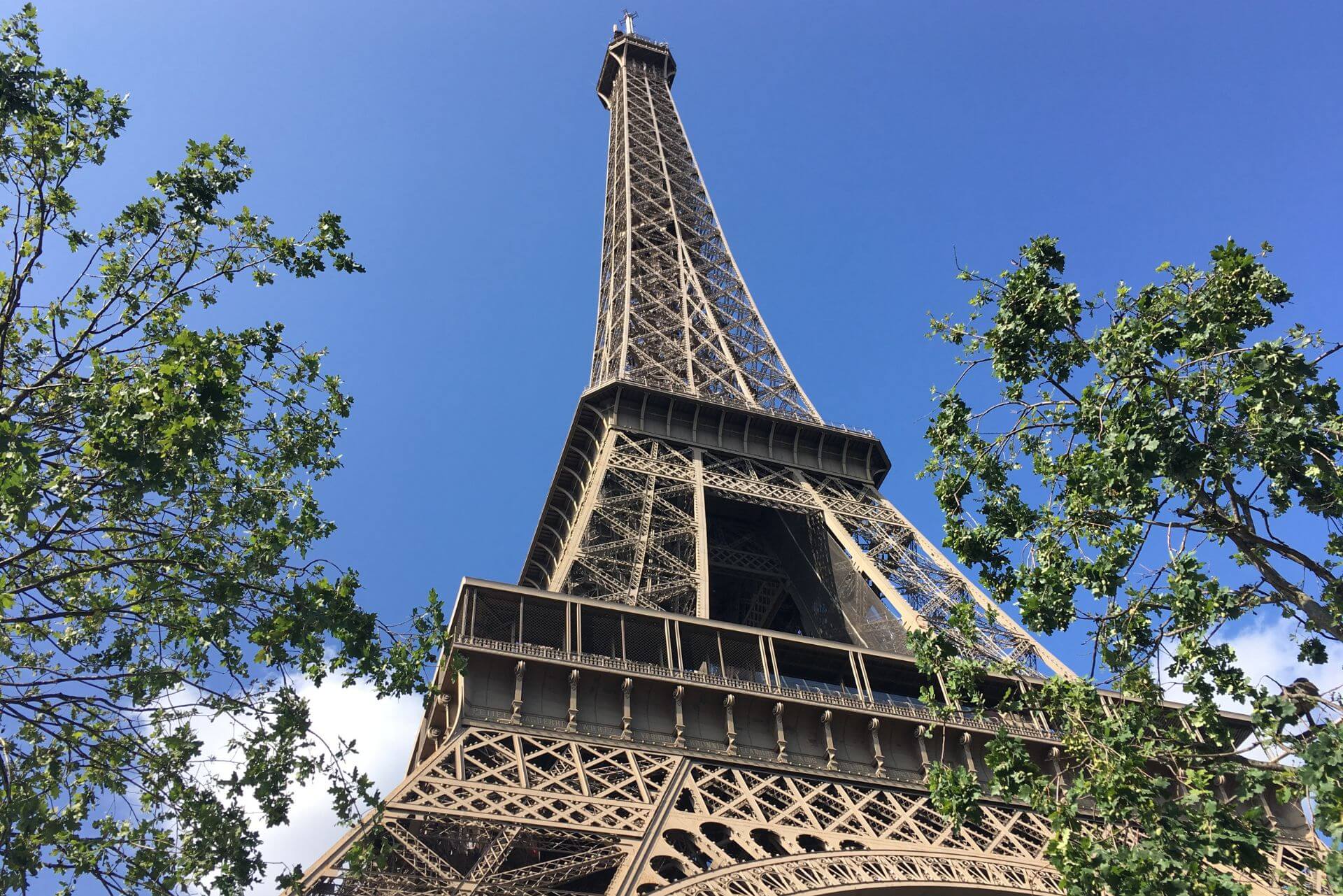 Looking up at the Eiffel Tower from ground level framed by green trees against a blue sky