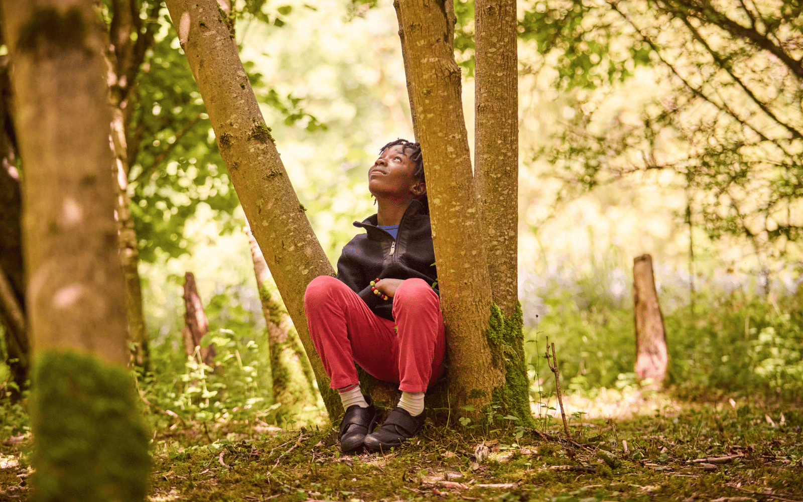 A person sits on the ground between tree trunks in a sunlit forest, looking up. They wear a dark jacket, red trousers, and black shoes.